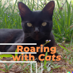 Roaring with Cats