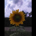 Offgrid and Solar