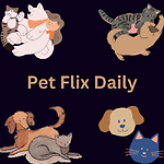 Pet Flix Daily