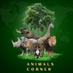 Animals Corner