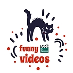 Funny clips