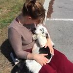 Sparkle Life Animals Sanctuary