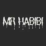 Mr Habibi