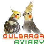 Gulbarga aviary