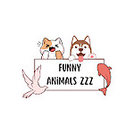 Funny Animals ZZZ