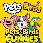 Ultimate Funny Animals & Birds