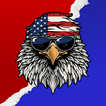 Veteran Biker