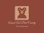 Pet Animal & Bird Comedy Video