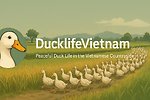 Peaceful Duck Life in the Vietnamese Countryside