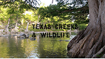 Texas Creeks and Wildlife