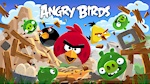 ANGRYBIRDSs