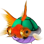 Schooled by Fish