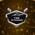 YES DYNAMIC
