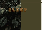 Sleep