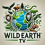 Wild Earth TV: Unraveling Nature’s Secrets