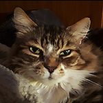 HOBBS