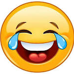 Fun and Joys
