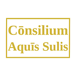 Introductio novarum technologiarum (Latina)