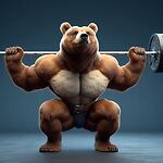 BEAR ZrrK