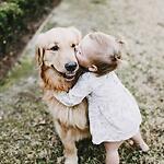 Cute pets and animals videos