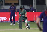 All About Cricket