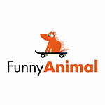 Funny animal video