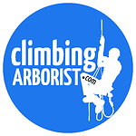 Climbing Arborist