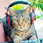 AI Cat TAIGER