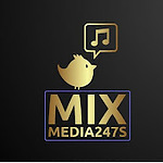 Mix Media247s