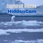 Captured Videos