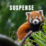 Suspense01