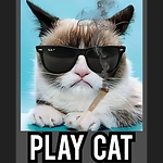 Play Cat Flix