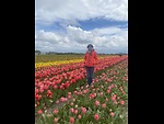 Beautiful soothing music that heals the soul