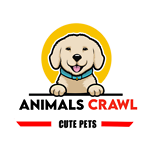 Animal Crawl