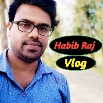 Vlogs Video