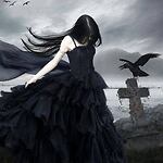 RavyneHawke's Nest