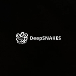 DeepSNAKES