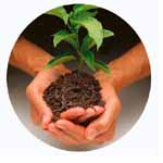 Inspire Garden and Nature