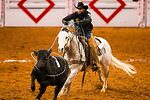 DailyRodeo