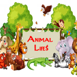 Animal Life