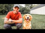 The dog training channel