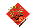 Yoga Unboxed