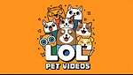 LOLPetVideos