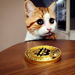 BitcoinCat