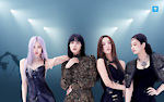BLACKPINK Moments