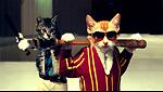 Funny Furries