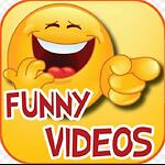 All funny video & comedy video