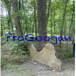 ProGoogan