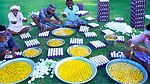 Cooking Recipes
