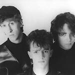 The Icicle Works - Band & Ian McNabb - Singer